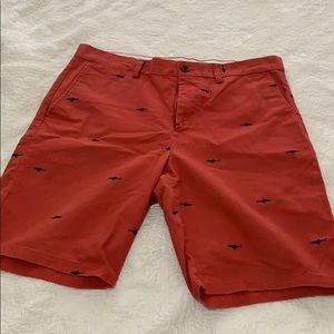 Shark shorts